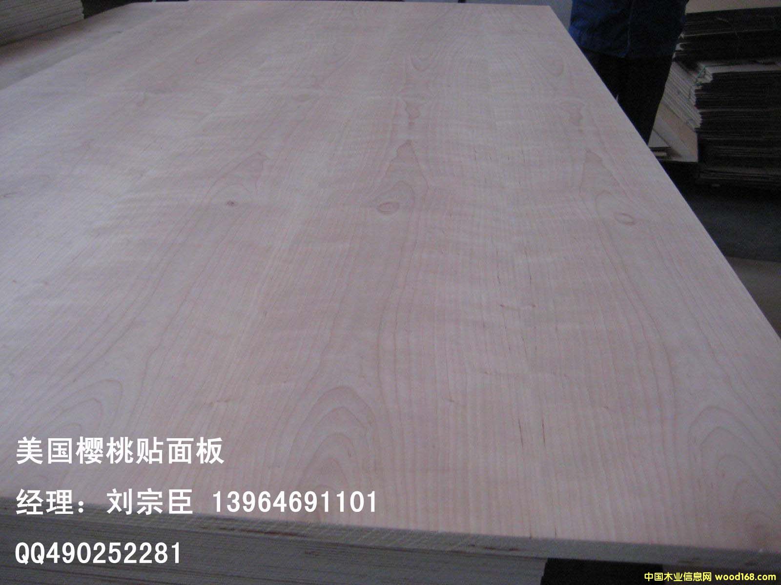 ����ľƤ���Ӱ��Ԕ����B