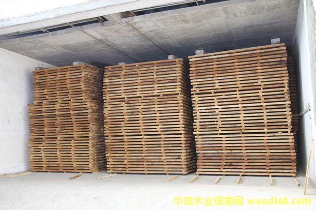 ��̴����֦ľ�ĺ�ɿ���