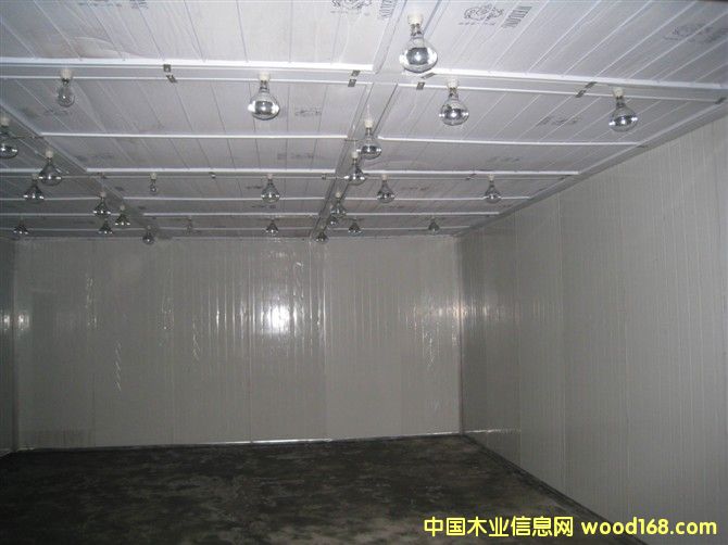 �Ҿ߇������O�� 