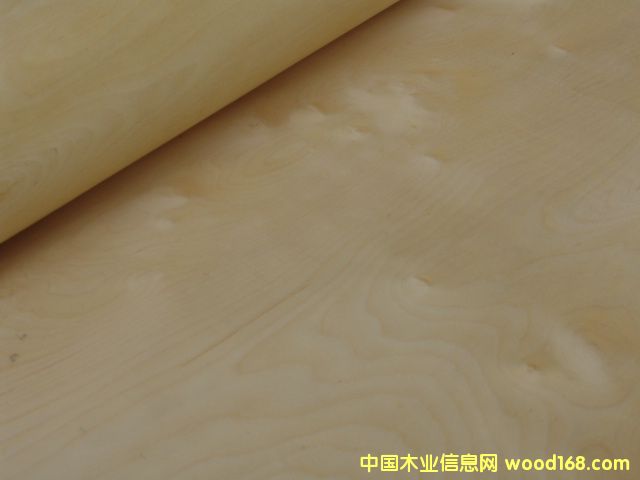 ��ľ��Ԕ����B