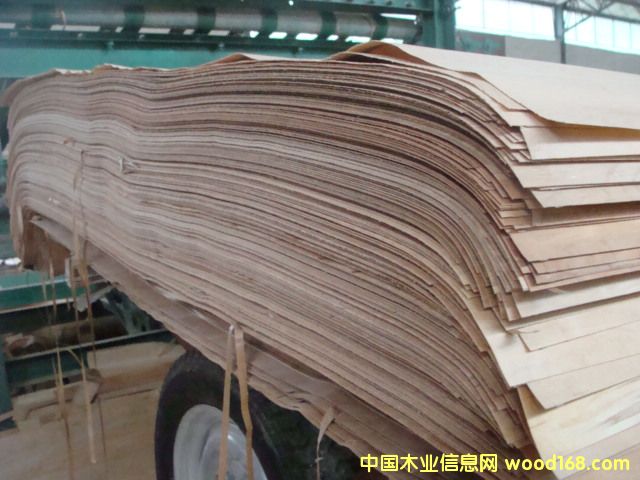 ��ľ����Ƥ��Ԕ��(x��)��B