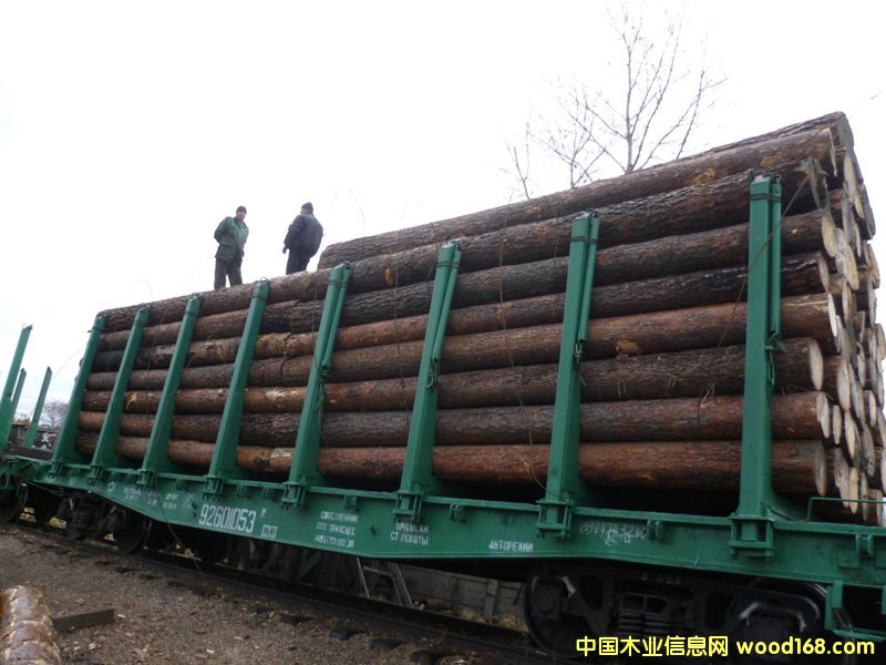 ����ԭľ��Ԕ����B