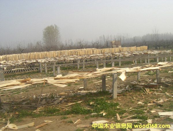 ��ľ��Ƥ��Ԕ����B