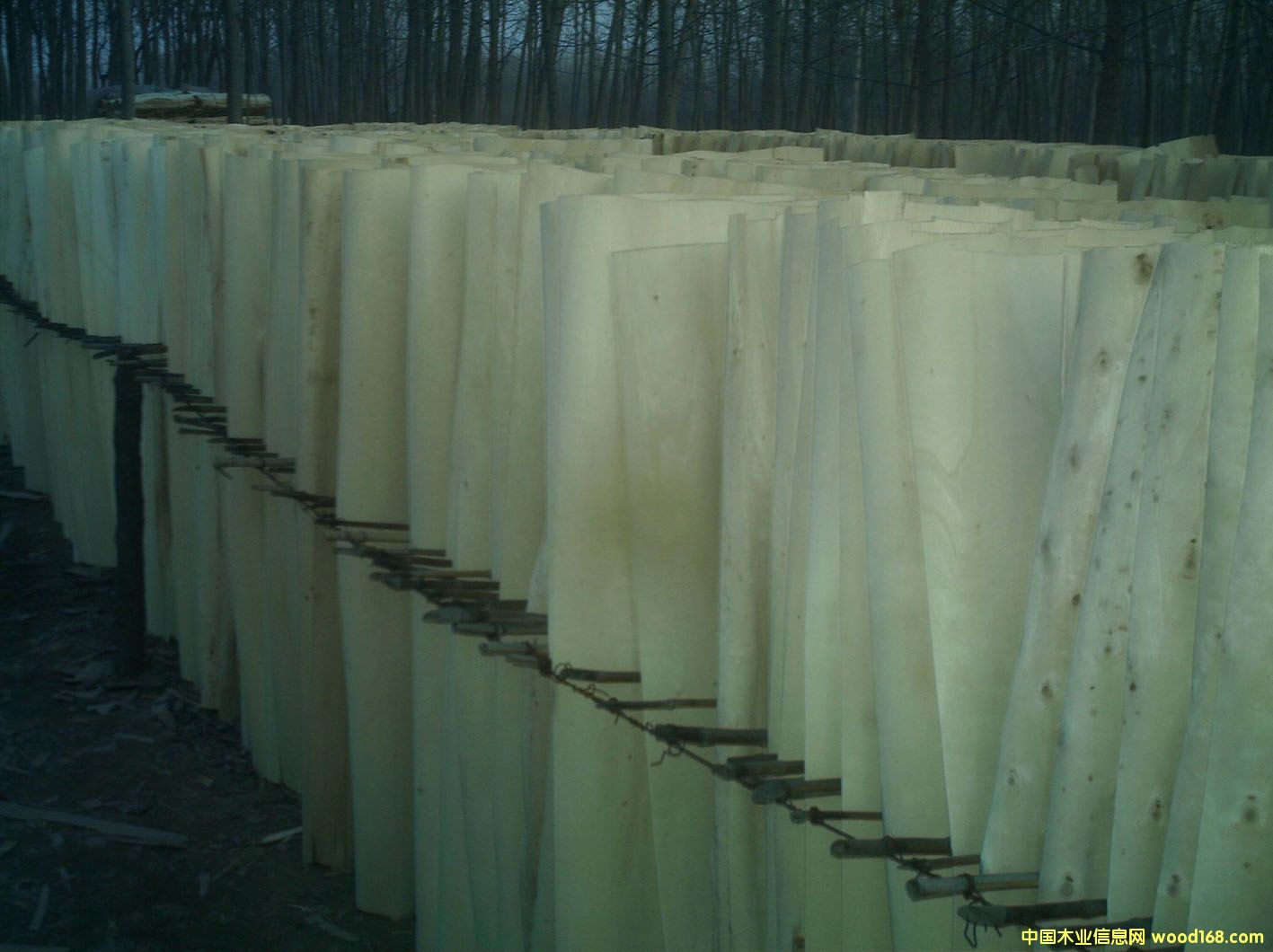 ��ľ��Ƥ��Ԕ����B