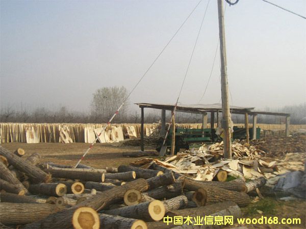 ��ľ��Ƥ��Ԕ����B