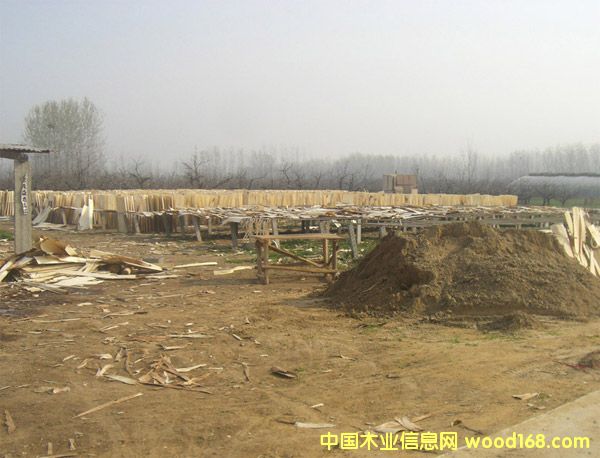 ��ľ��Ƥ��Ԕ����B