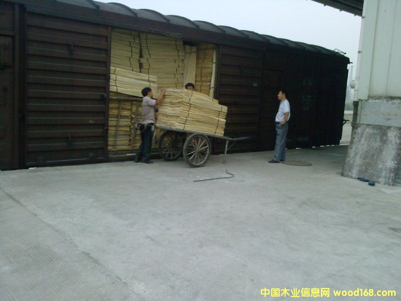 ��ľ��Ƥ��Ԕ����B