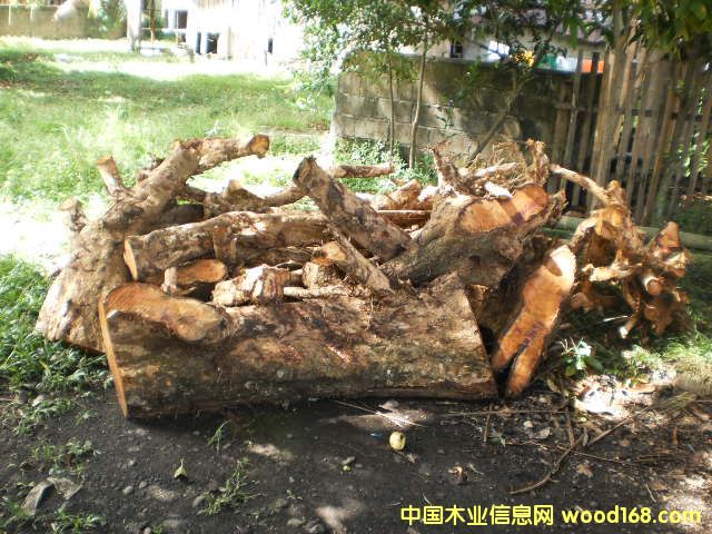 �{���� Narra ��Ԕ����B