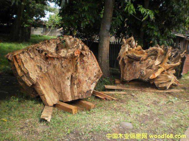 �{���� Narra ����̴����Ԕ����B