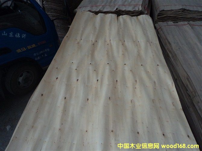 木皮的詳細(xì)介紹