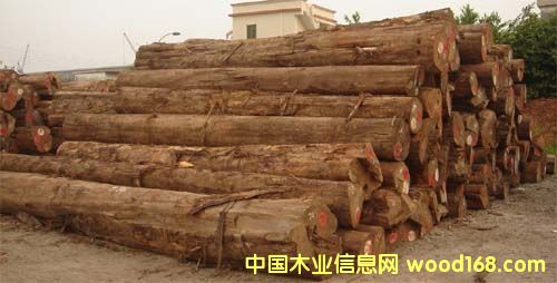 ������ľԭ��