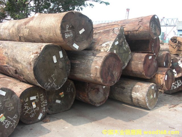 ����ľ��Ԕ����B