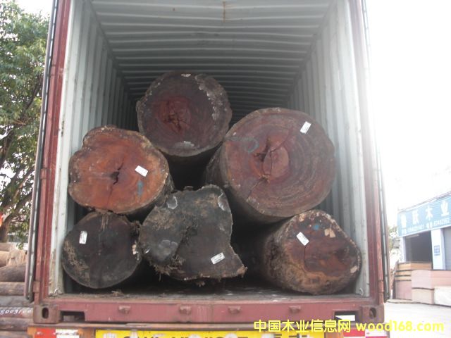 瓦泰豆的詳細介紹