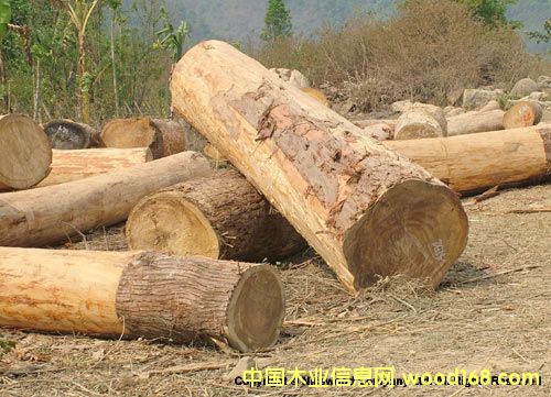 �uľ2��Ԕ����B