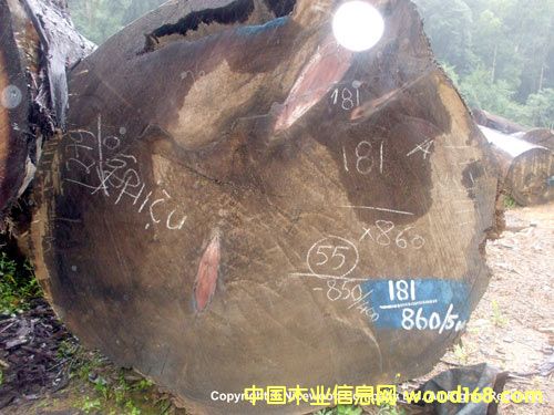 ɼľ��Ԕ����B