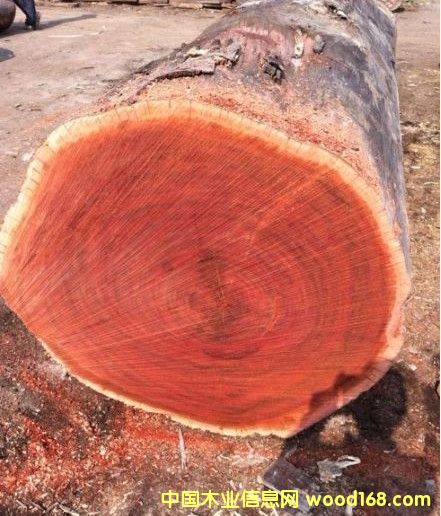 �ڂ��ҵ�Ԕ��(x��)��B