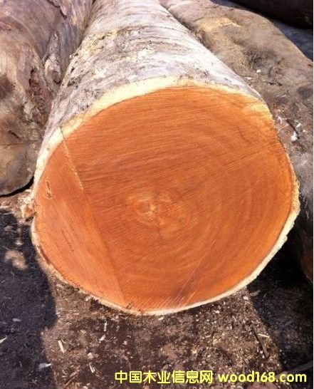 ���}���Ԕ��(x��)��B