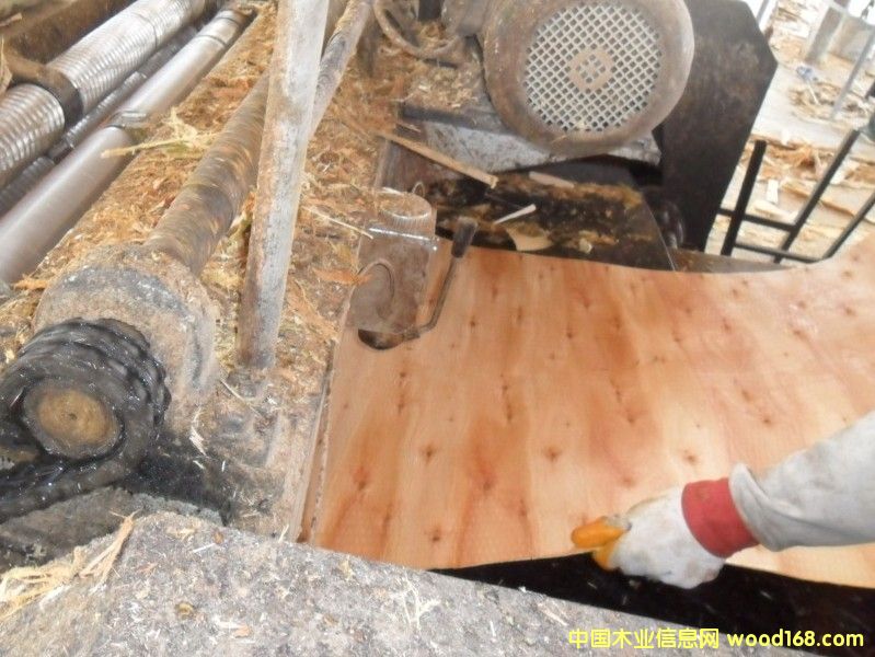 ��ľ�ΰ����a