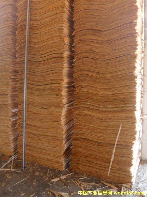 �����a(ch��n)����