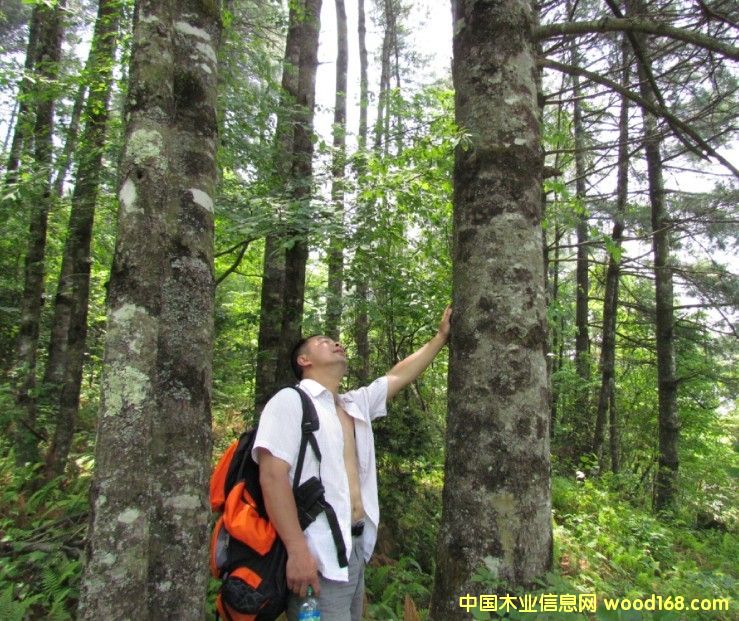 �Ĵ�ʡ�VԪ���ɘ䡢ˮ����11000�������D(zhu��n)׌��Ԕ��(x��)��B