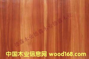 �߹������B�h���� 