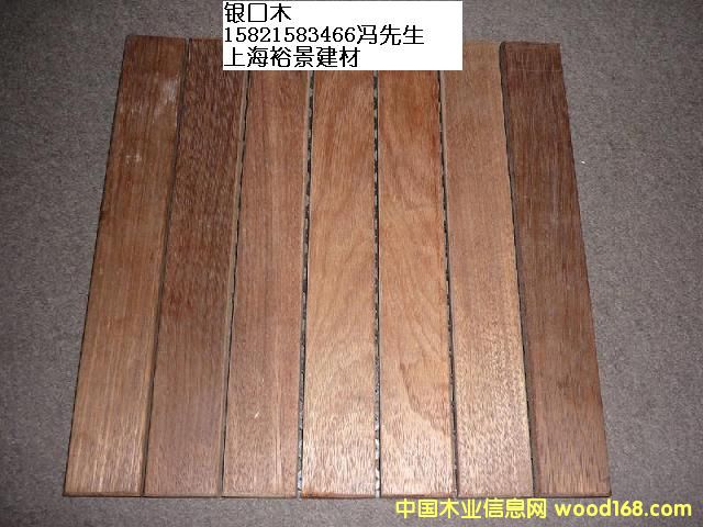 �y��ľ��Ԕ����B