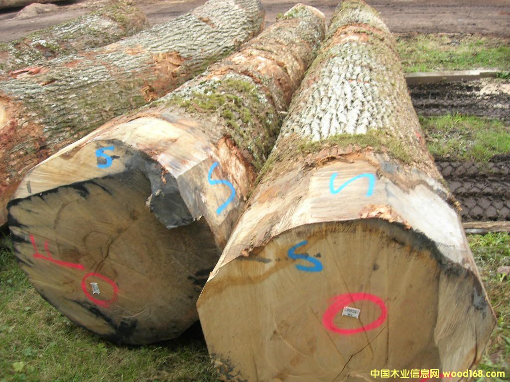 �W��ԭľ ��ĵ�Ԕ��(x��)��B