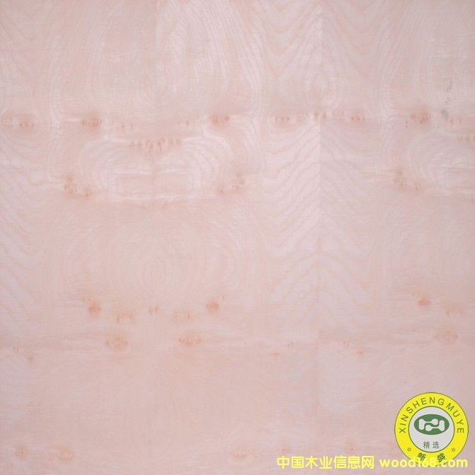 [��] ���V��ʢ-����Ȼ��ľ��yԭľľƤ����