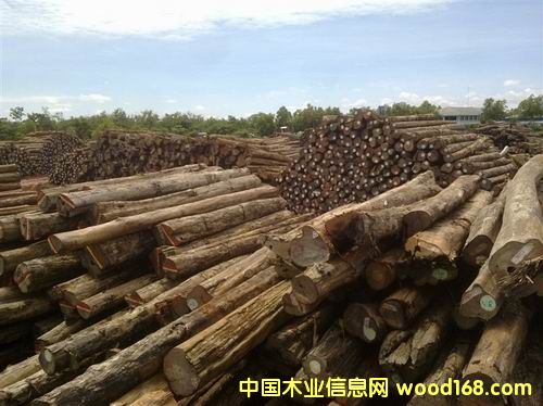 �M��ľ����ľԭľ������Ԕ����B