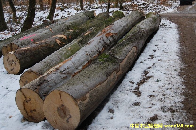 �W�ޙ�ľԭľ��Ԕ����B