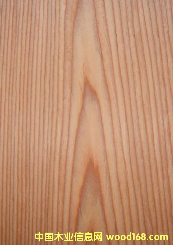 384893958.jpg��Ԕ����B