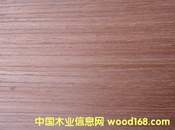 412559652��Ԕ����B