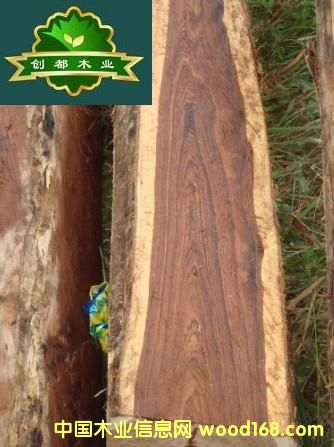 ����Ɲ�S̴��Ԕ����B