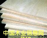 ���ɲĵ�Ԕ����B