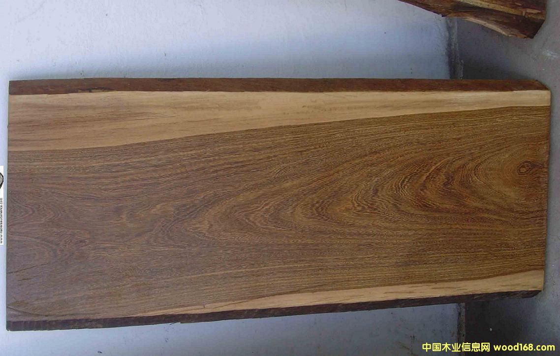 ������̴��Ԕ��(x��)��B