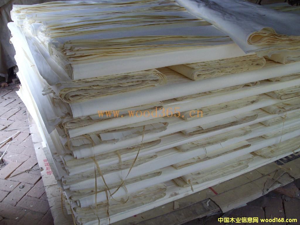 ��ľƯ�׆ΰ��Ԕ����B