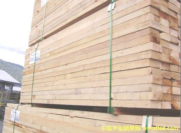 ��(y��u)�|(zh��)�Fɼ