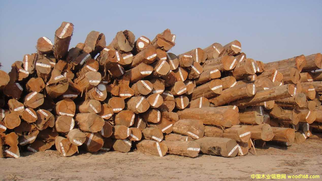 �����ϵ���ľԭľ����ľԭľ