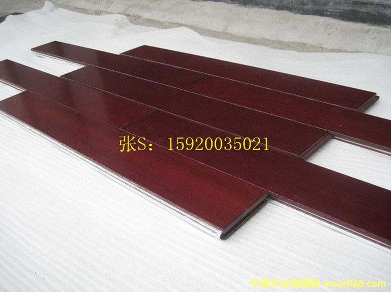 �ʰͶ�/�𲻓Q ��ľ�ذ�