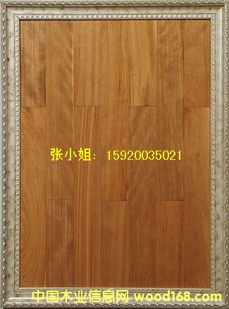 ��ľ�ذ�-����ľ�ذ��Ԕ����B