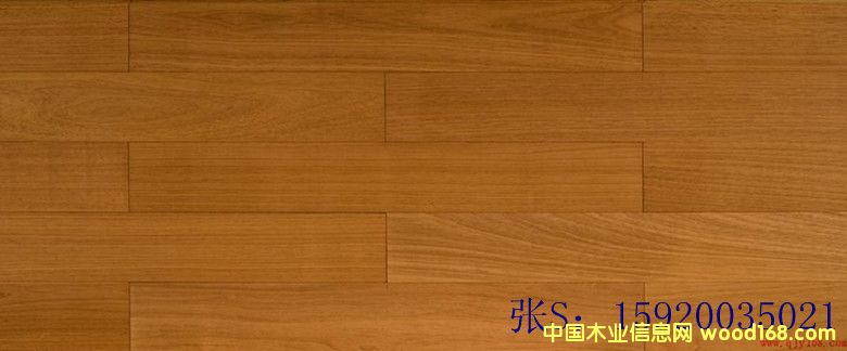 ��(sh��)ľ�ذ� �\�~�Kľ �����֌�(sh��)ľ�ذ�