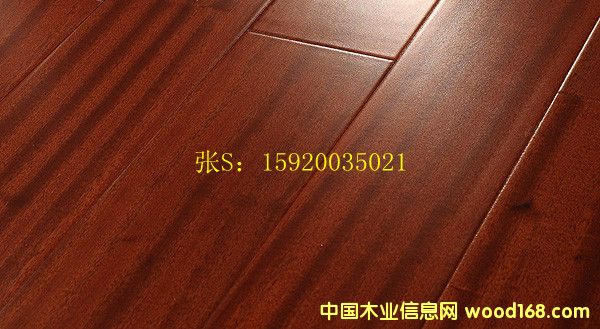 ɳ�������ӌ�ľ�ذ�