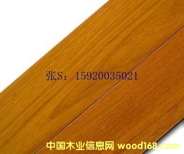 ��ľ�ذ� �հ��� �wƤ�����Ԕ����B