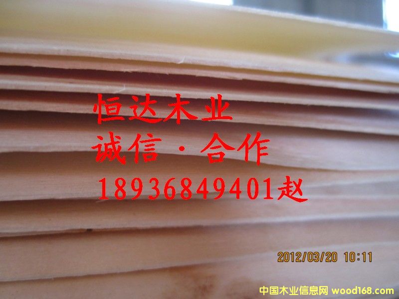 ��ľƤ��Ԕ����B