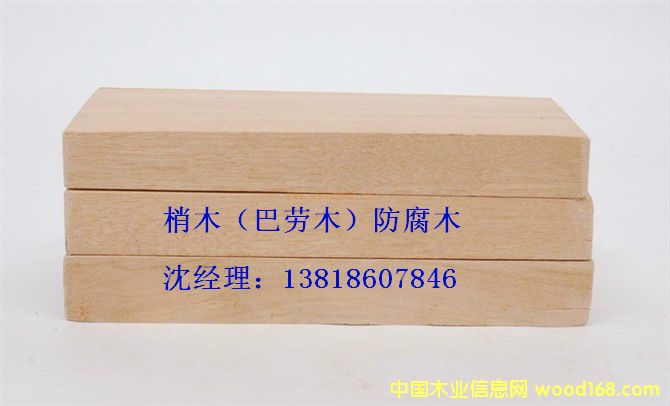 [��] ������ľ����ľ�r�񣬼t��ľ�r����ľ����ľ�r����ľ���r��