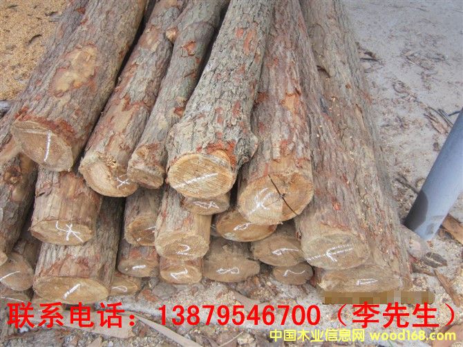 ��ľ��Ԕ����B