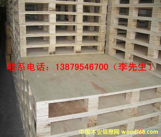 ľ�ư��b���Ԕ����B