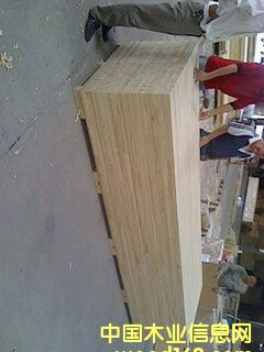 ����ݗ���ɼ��ɲ�