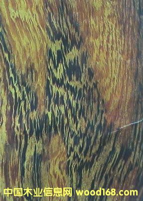 �u��ľ���u��С�u�ᾒ���u��ľ-�M�ڈ��P������Ԕ����B