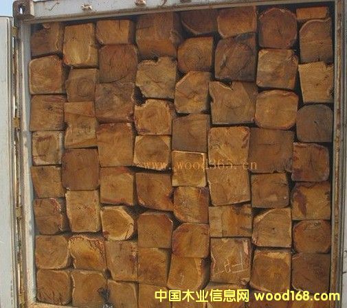 �����S���棨�����棩�S�Ҹ��M�ڈ��P������Ԕ����B